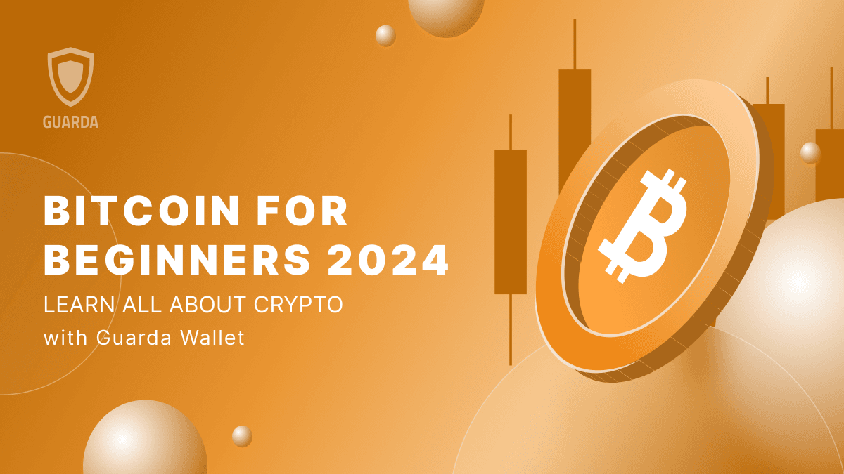 Bitсoin for Beginners 2024: A Comprehensive Guide 